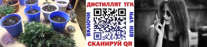 Купить  Игра  Дистиллят ТГК вейп с тгк 